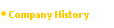   Company History