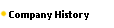   Company History