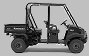 trans_mule